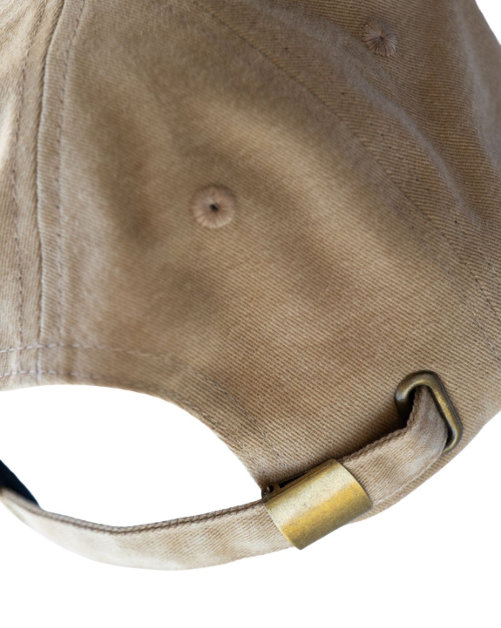 Natural Necessity Natural Necessity Dad Cap