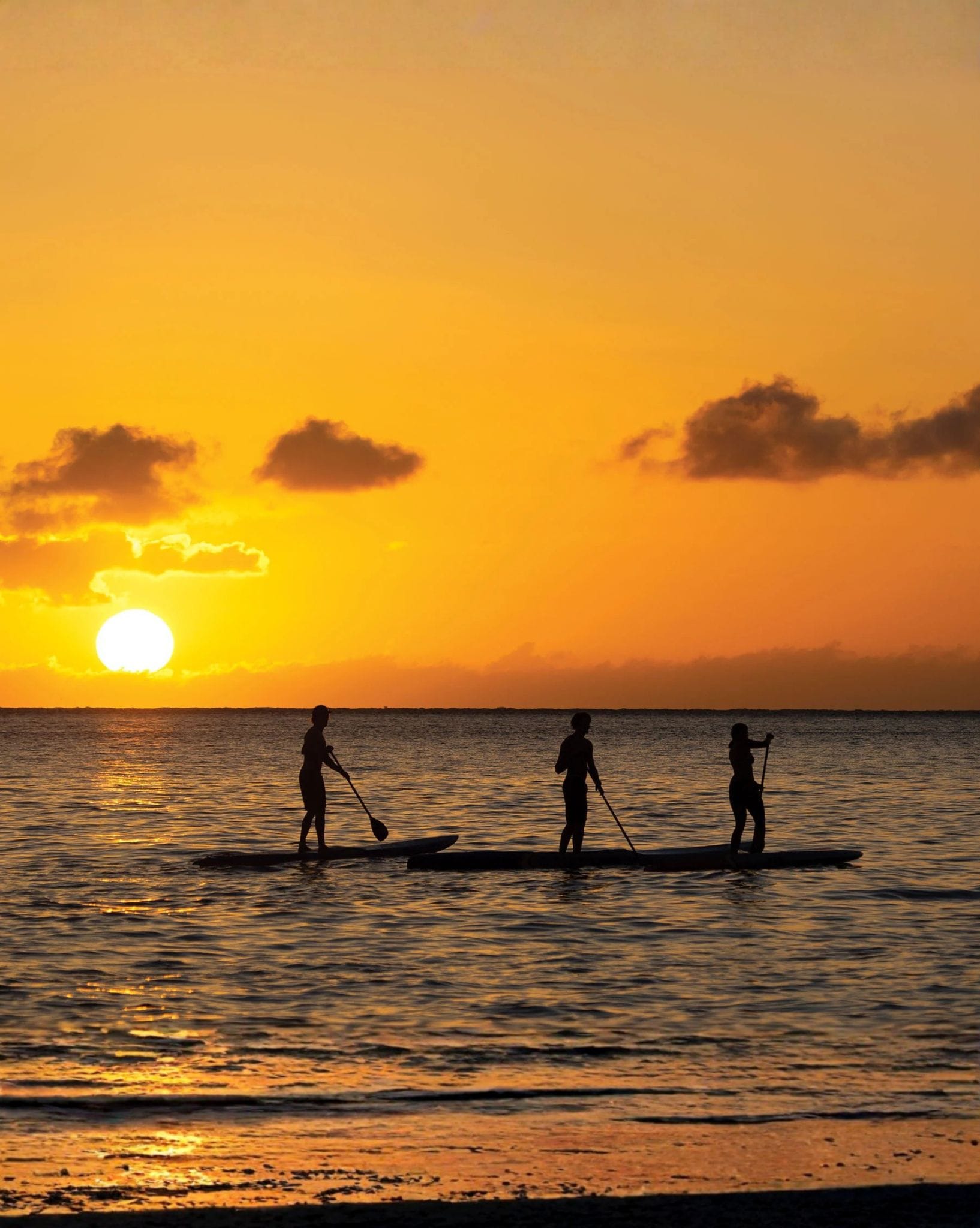 Ocean and Earth Diamond Flex SUP Coil Regular - 9ft