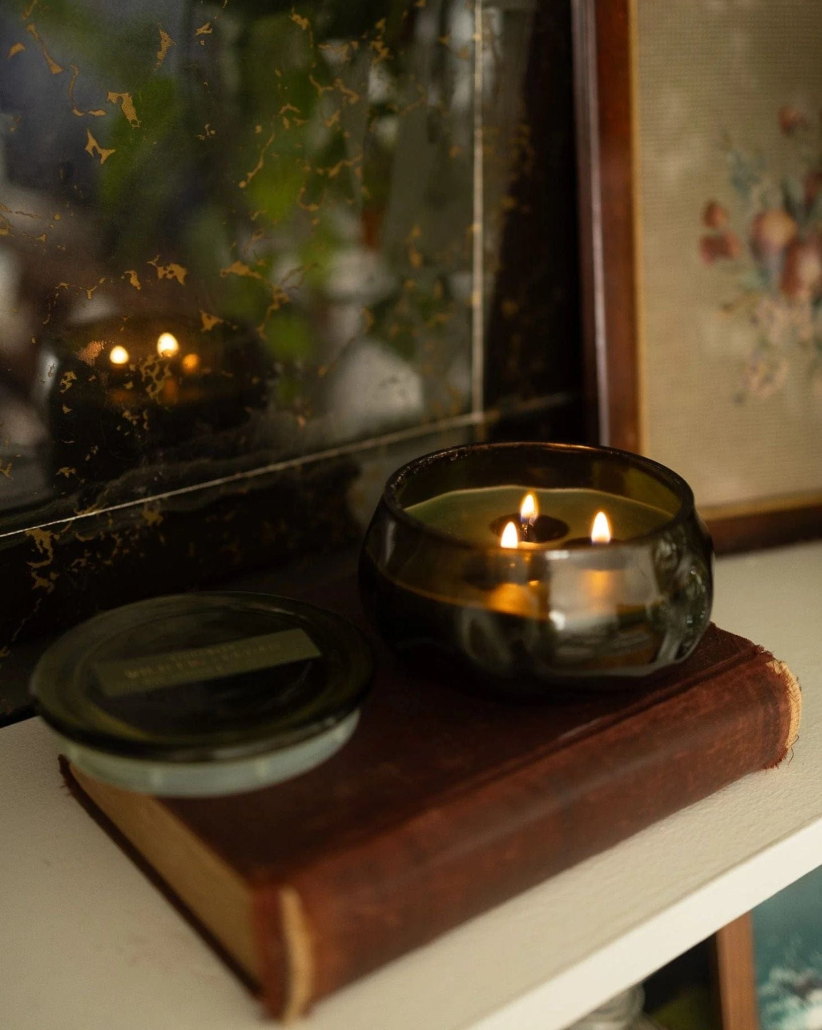 Paddywax Basalt Green 10oz Glass Candle - Wild Fig & Cedar