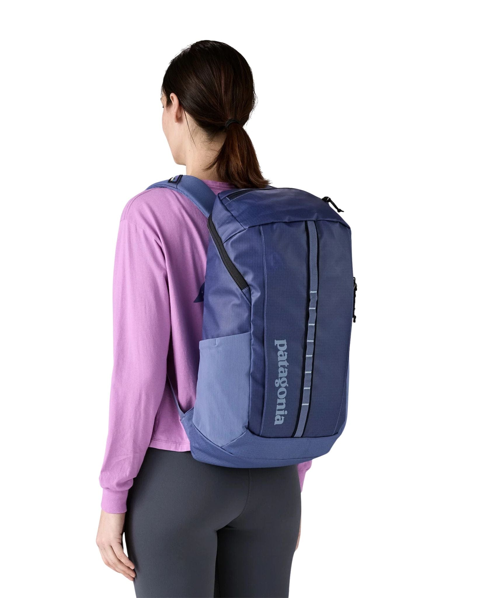 Patagonia Black Hole Pack 25L