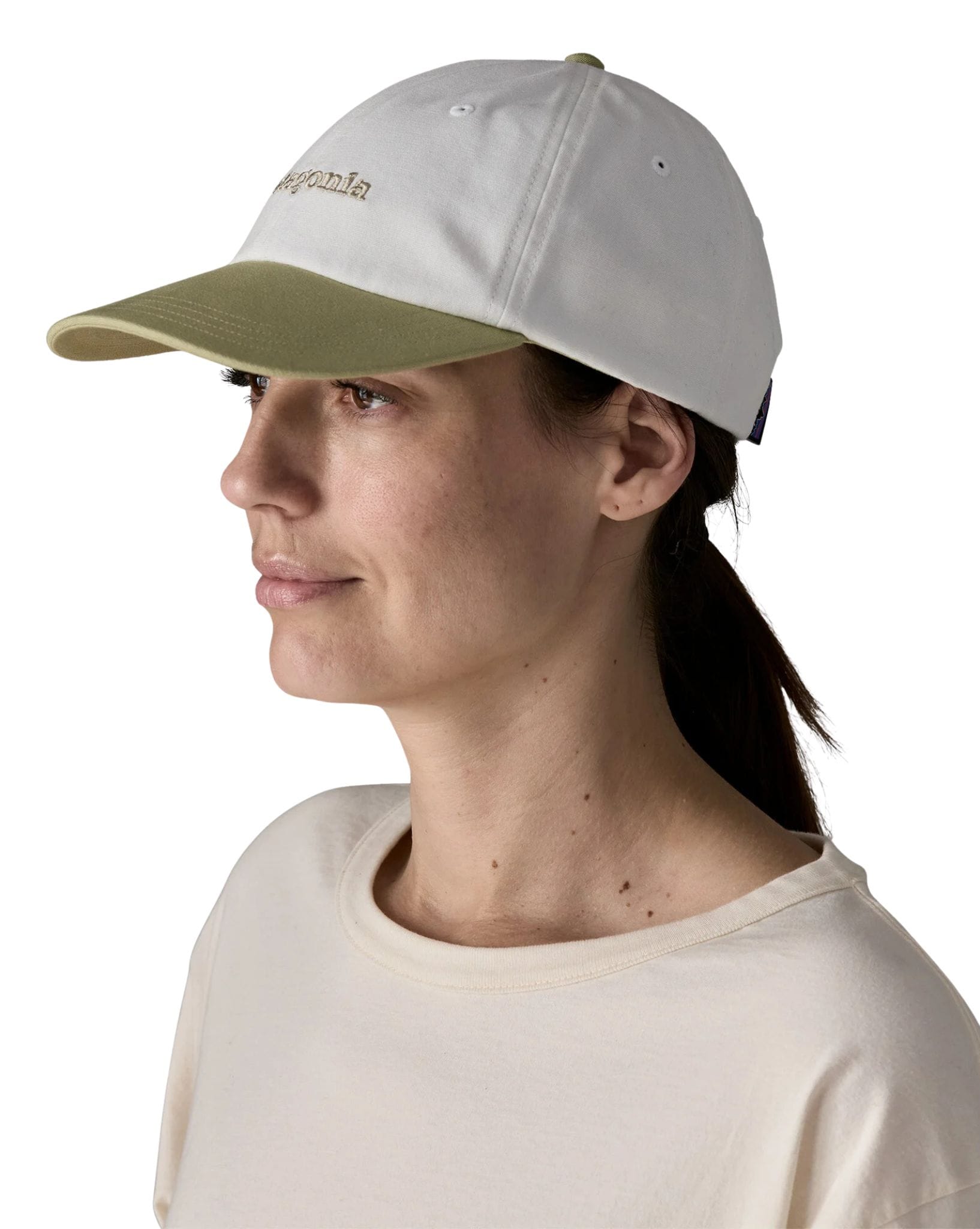 Patagonia Fitz Roy Icon Trad Cap