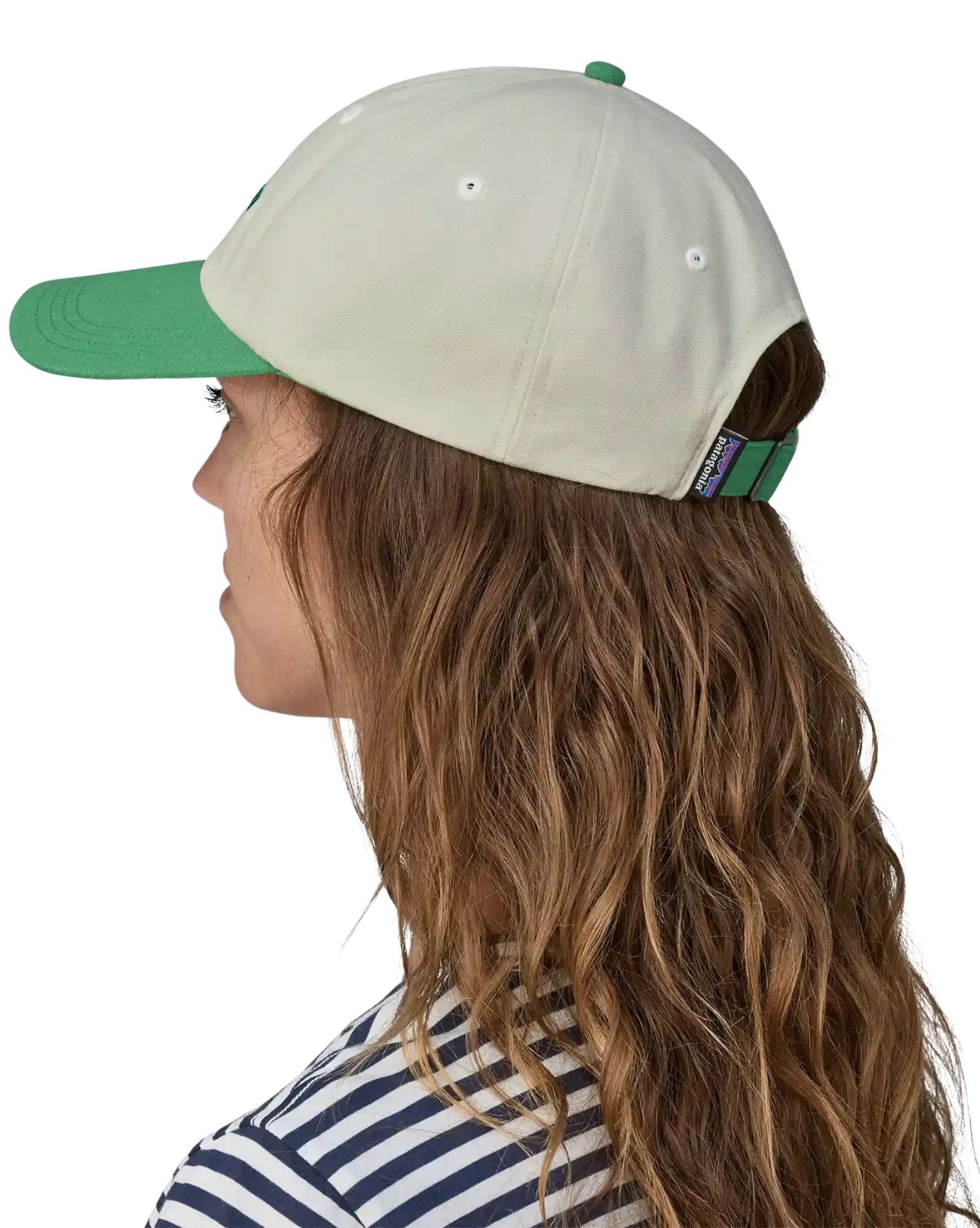Patagonia Fitz Roy Icon Trad Cap