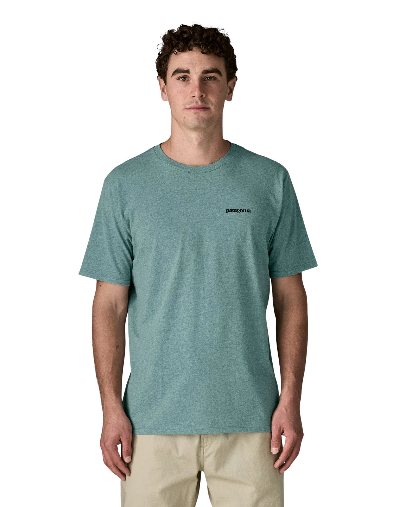 Patagonia M's Take a Stand Responsibili-Tee