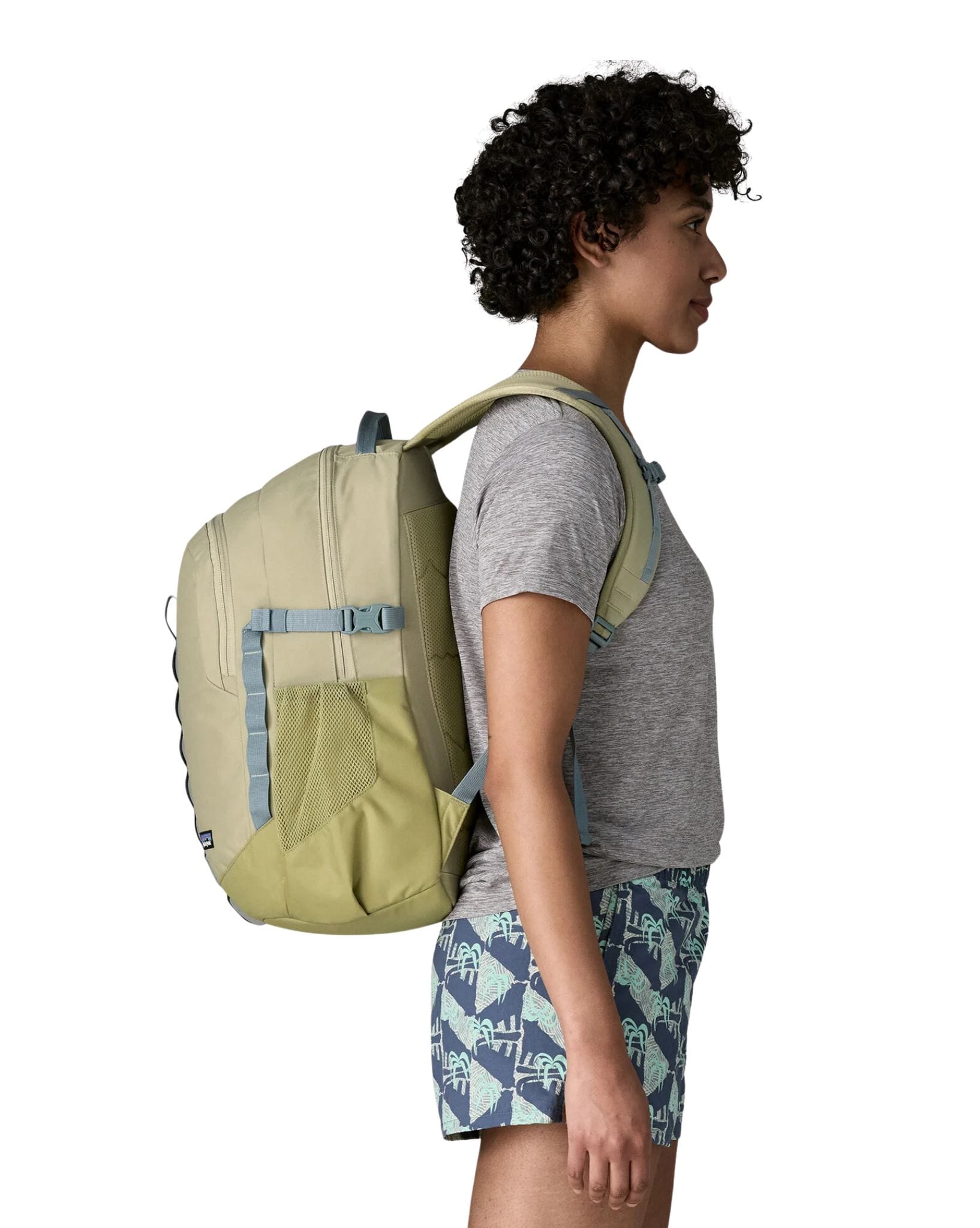 Patagonia Refugio Day Pack 26L