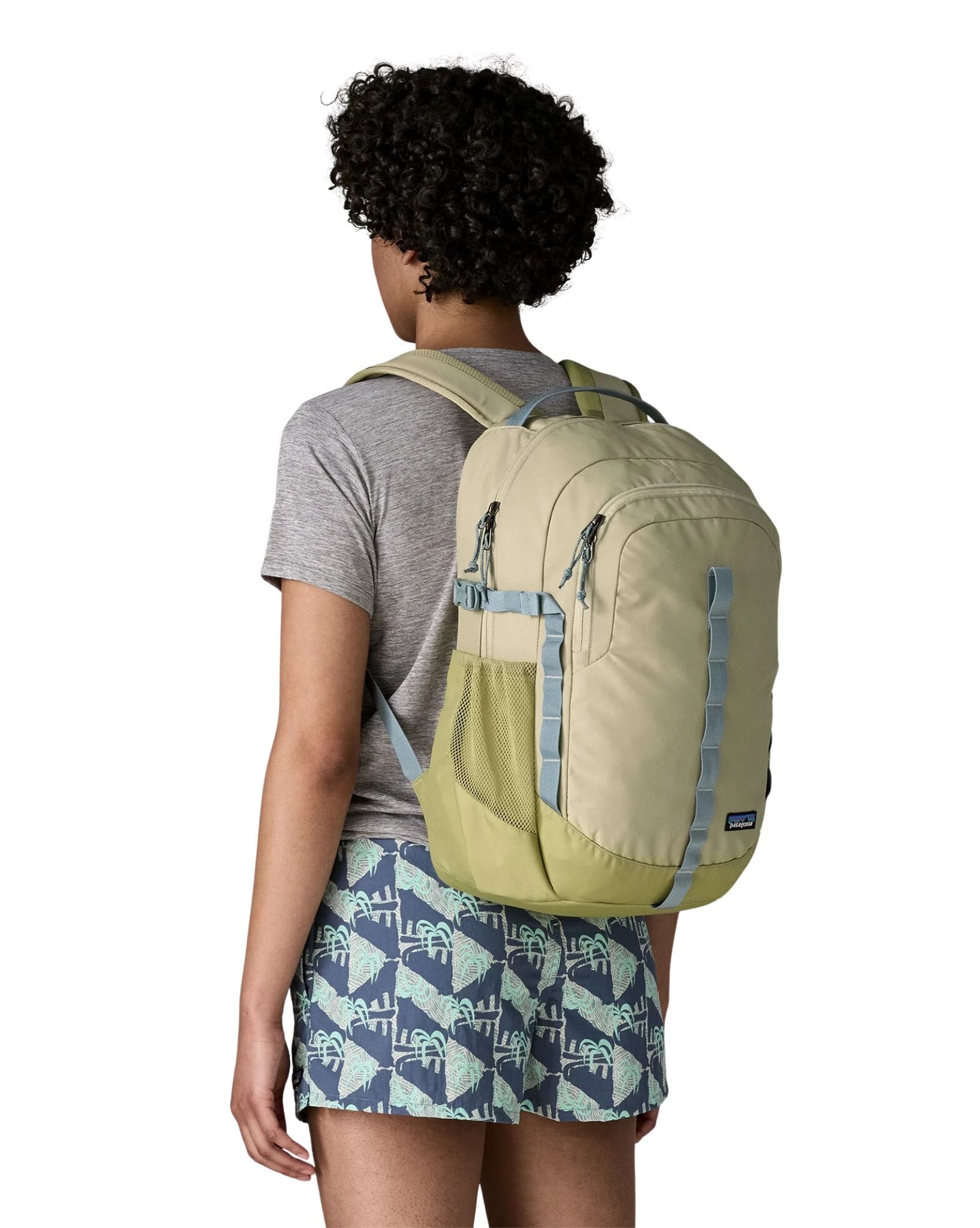 Patagonia Refugio Day Pack 26L