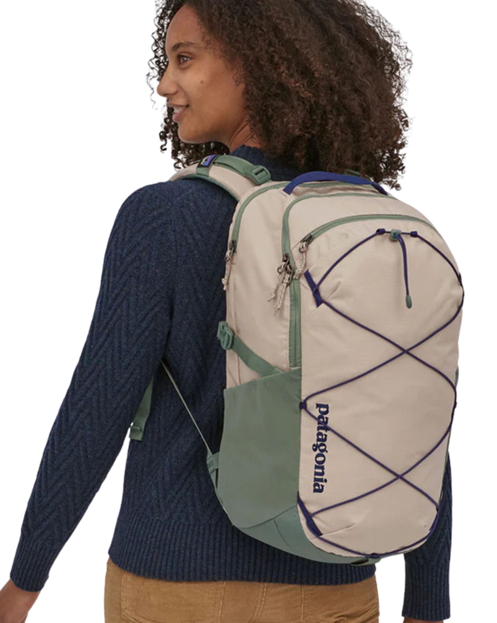 Patagonia Refugio Day Pack 30L