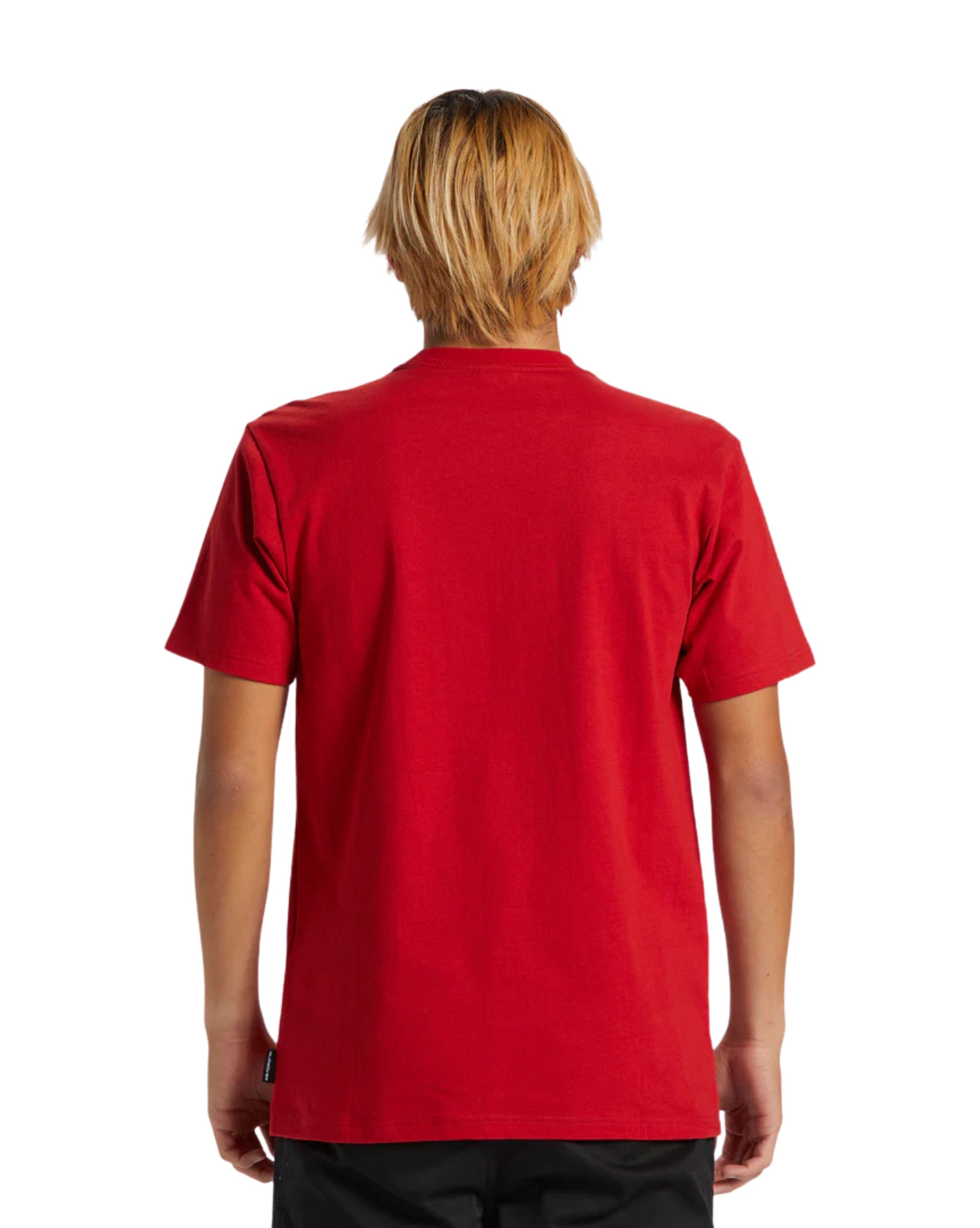 Quiksilver Impaired Logo DNA Mens T-Shirt