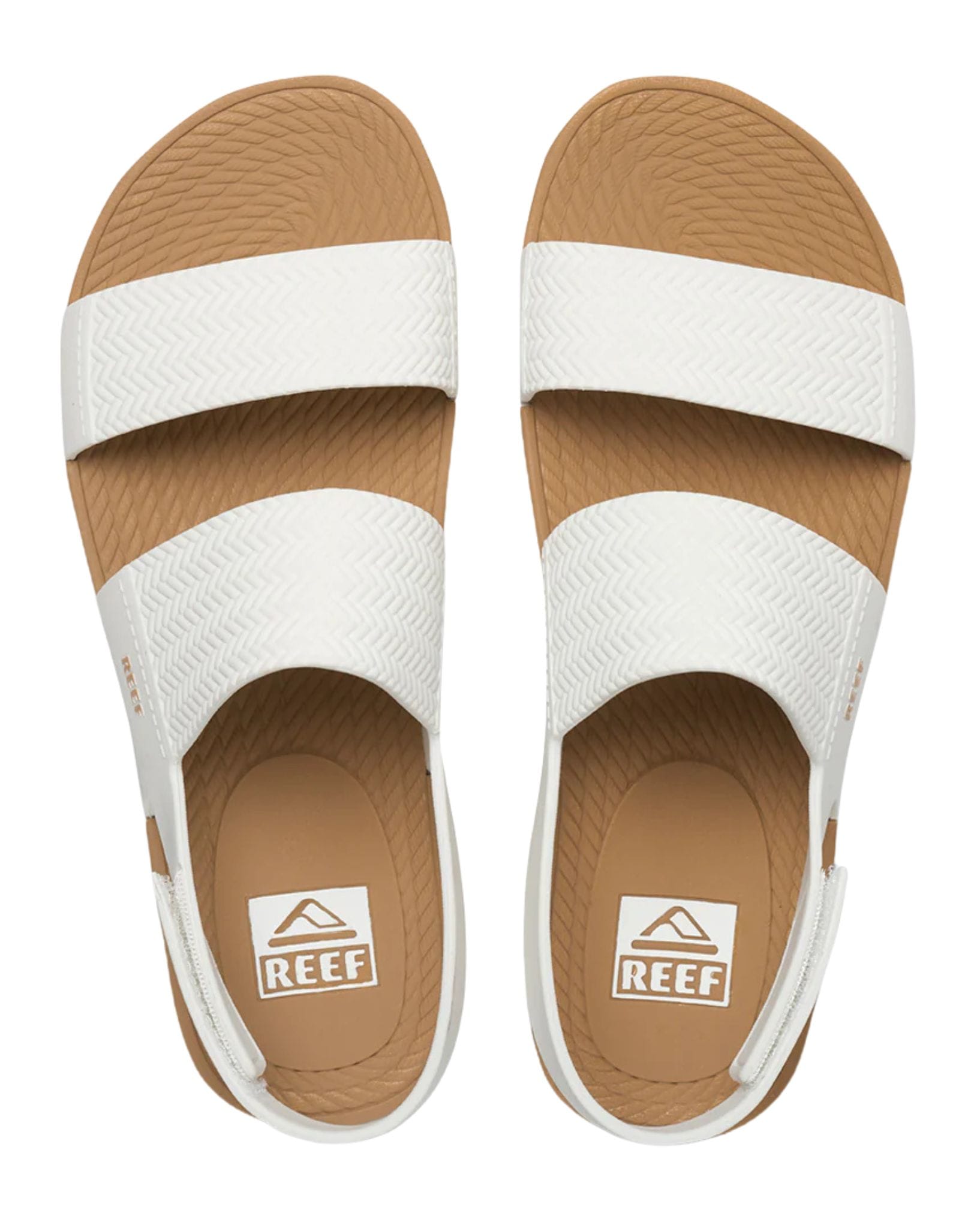Reef Water Vista Duo