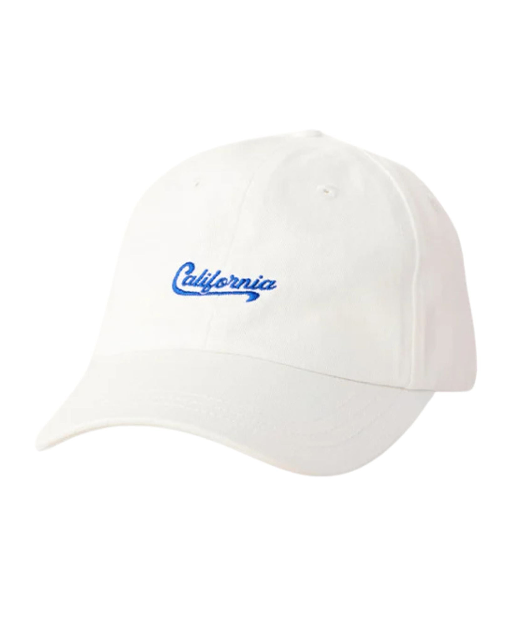 Ripcurl Mixed Desto Cap