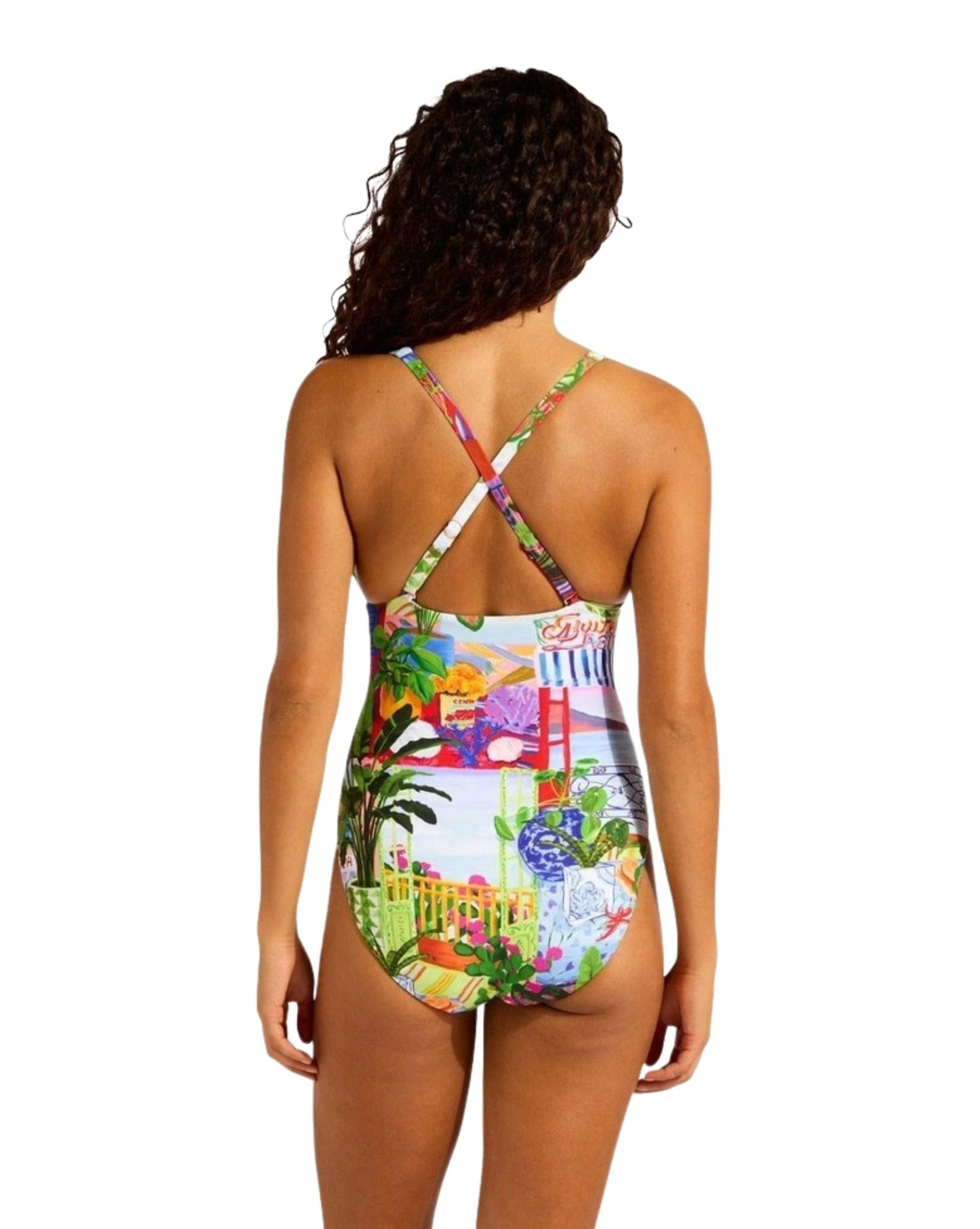 Seafolly La Boca Deep V Neck One Piece
