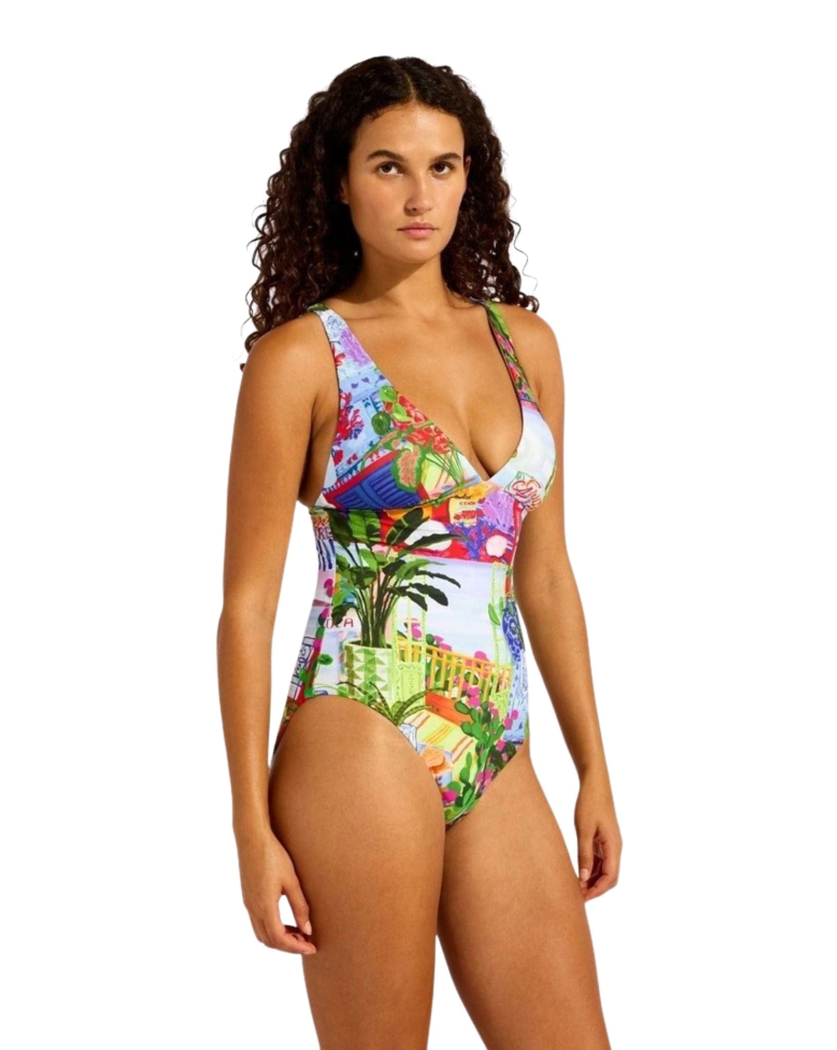 Seafolly La Boca Deep V Neck One Piece