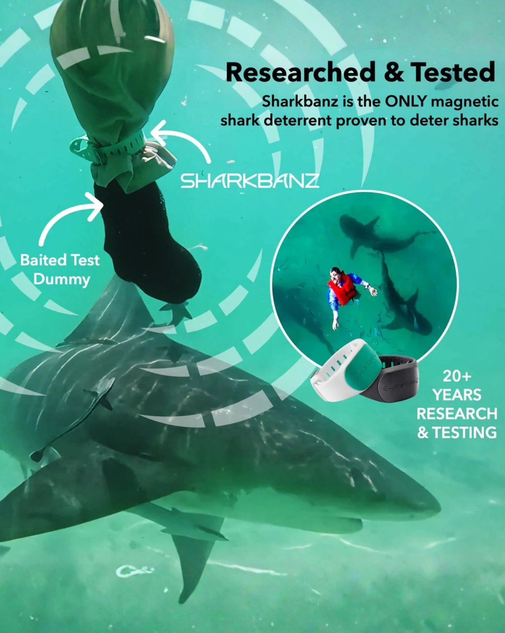 Sharkbanz Sharkbanz 2