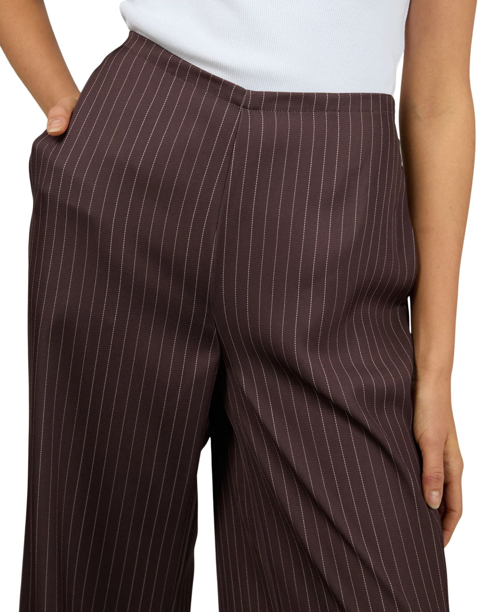 Silent Theory Eden Pinstripe Pant