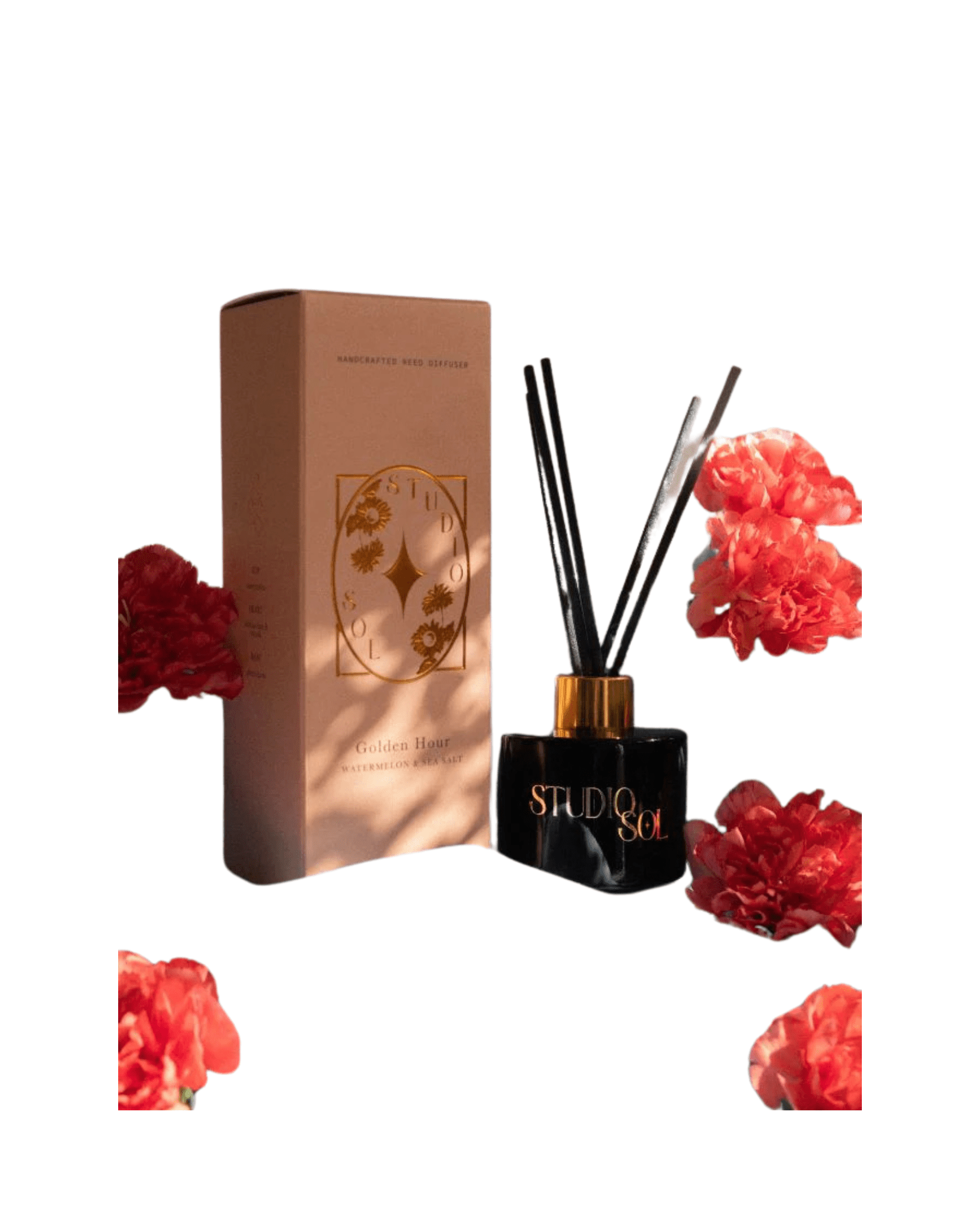 Studio Sol Home Studio Sol 100ml Diffuser