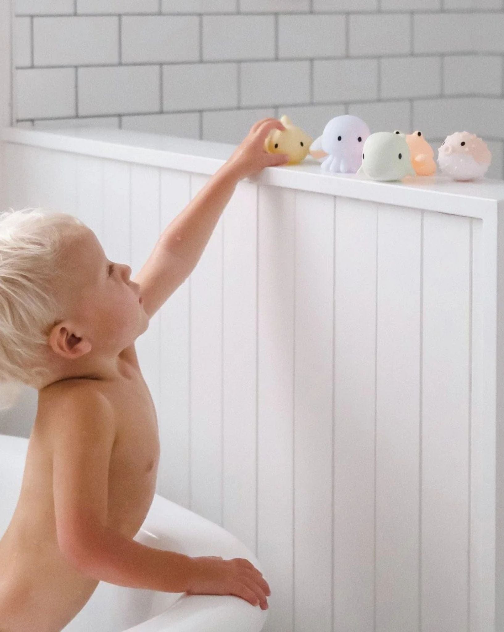 SunnyLife Sea Animal Splash Toys Ocean Friends Multi