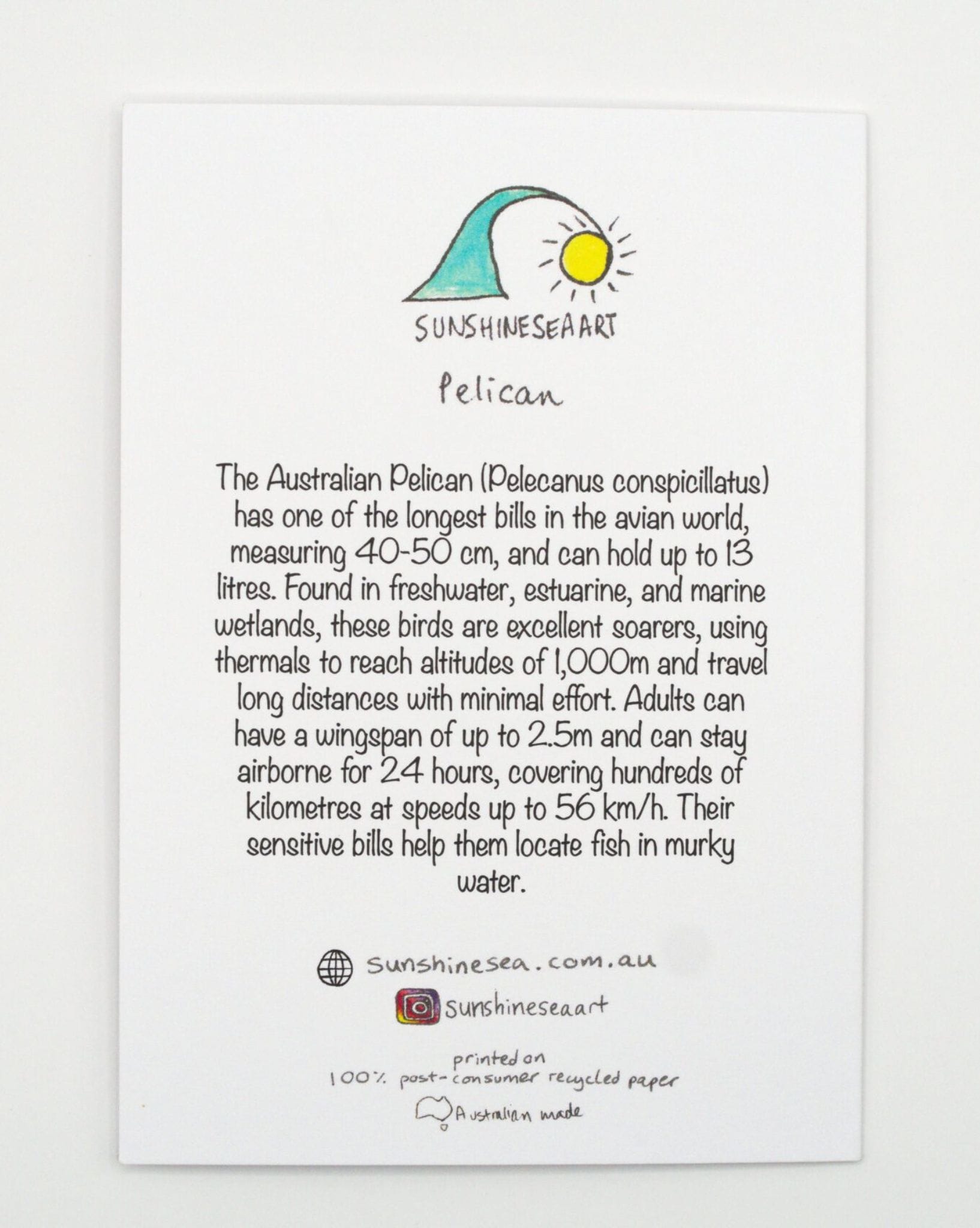 Sunshine Sea Art Pelican Card