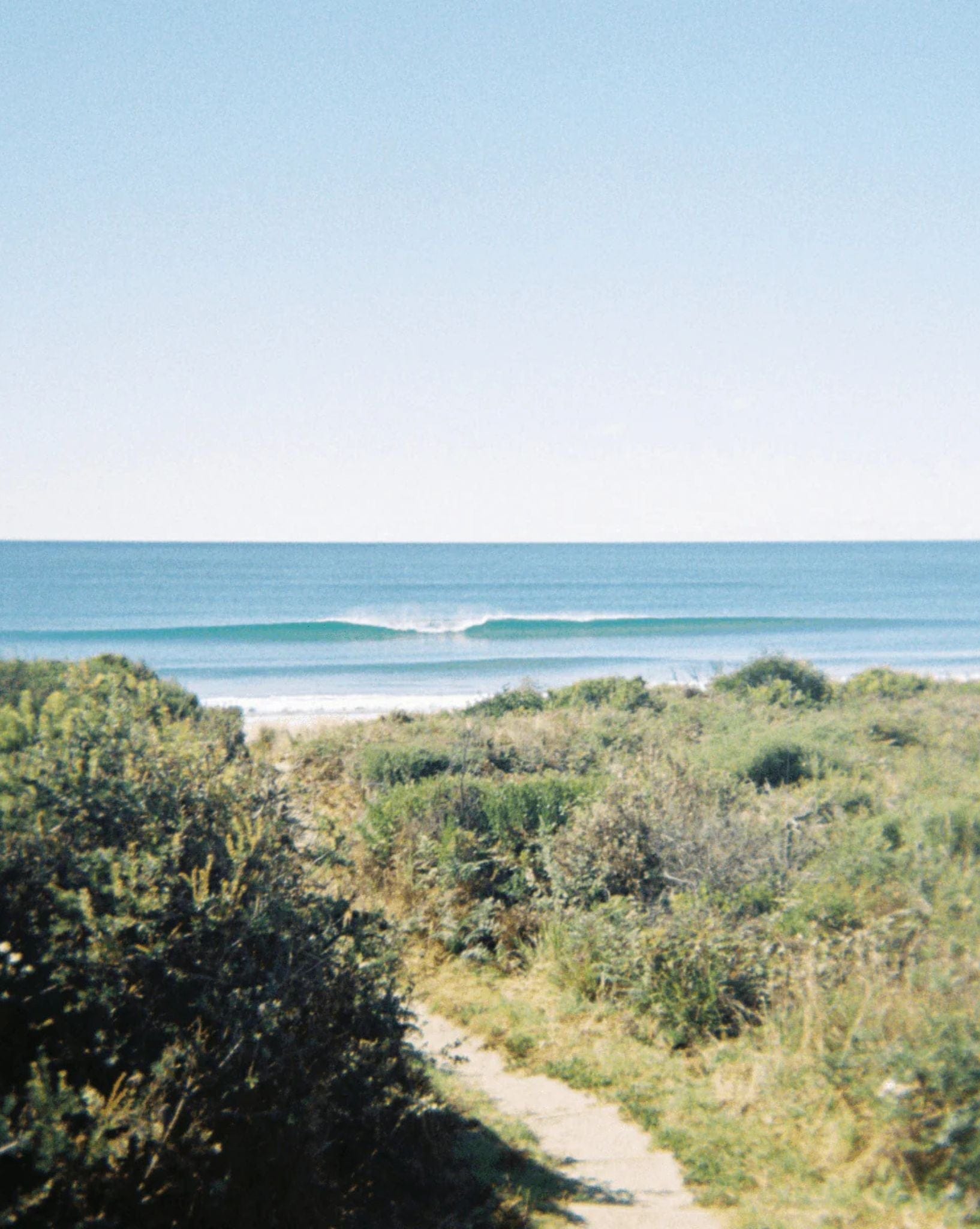 Surfolk Surfolk 35mm Film