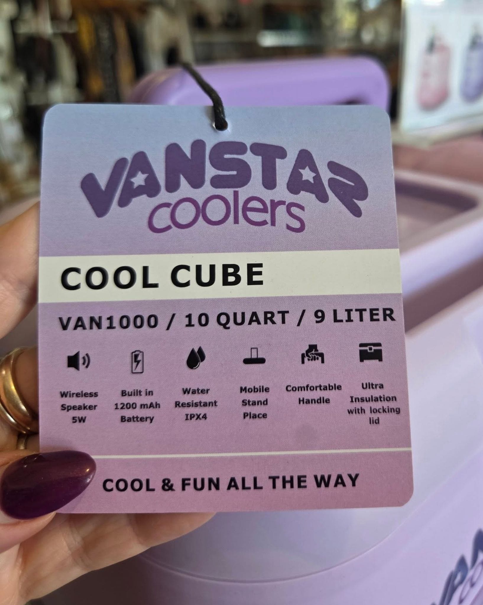 Vanstar Coolers Vanstar Coolers  Multi-Functional Cooler
